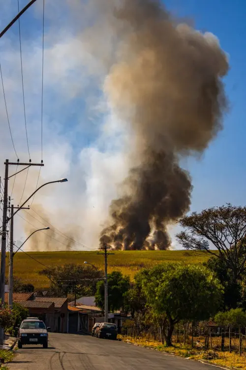Ruvo di Puglia, incendio doloso in un bene confiscato: “Non ci fermeremo”