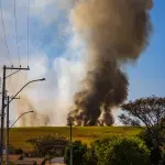 Ruvo di Puglia, incendio doloso in un bene confiscato: “Non ci fermeremo”