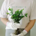 Sustainable Factory Tour, al via il percorso tra imprese e ricerca