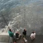 Pesca e acquacoltura, dall’Europa un sostegno straordinario per affrontare la crisi