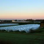 Valenzano, al via AgriBari: impianto agrivoltaico UniBa-Statkraft