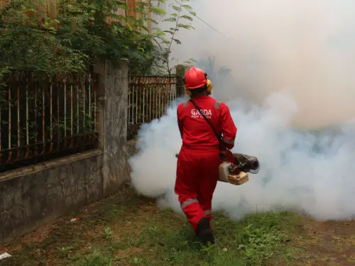 Disinfestazione in città, nuovo trattamento dall’8 giugno