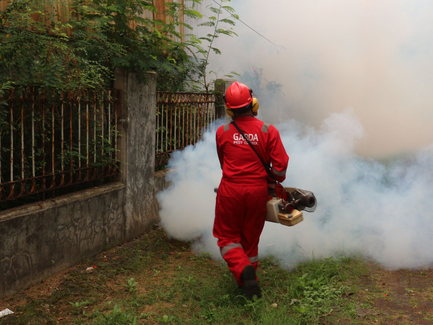 Disinfestazione in città, nuovo trattamento dall’8 giugno