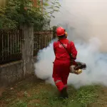 Disinfestazione in città, nuovo trattamento dall’8 giugno