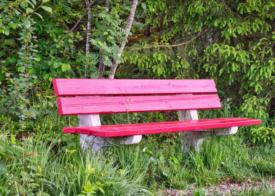 Andria, a Palazzo di Città la bandiera “Mai più bandiera bianca” contro la violenza sulle donne