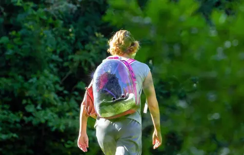 Andria rilancia il PediBus: bambini a scuola a piedi per una città più sostenibile