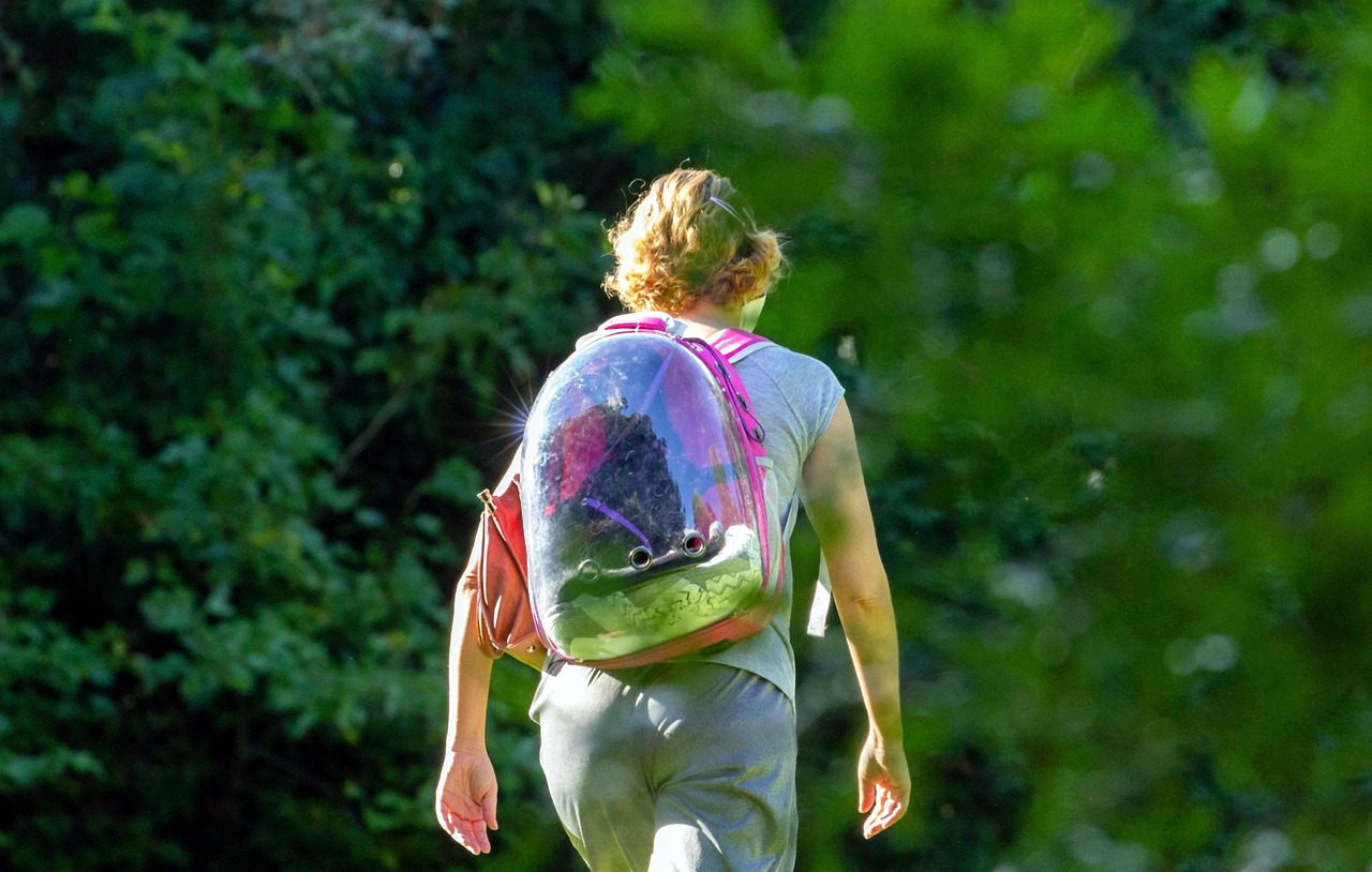 Andria rilancia il PediBus: bambini a scuola a piedi per una città più sostenibile