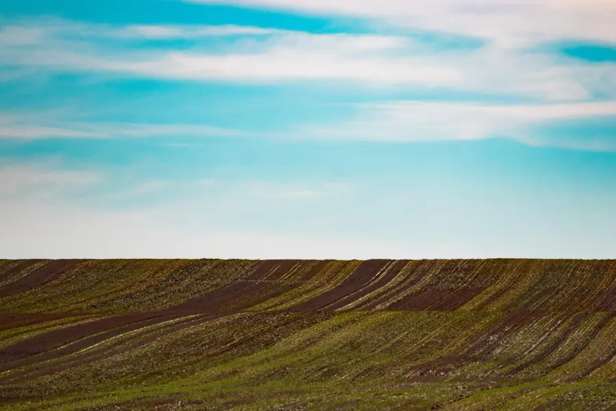 Taranto, via libera a “Filiere Verdi”: quasi 23 milioni per bonifiche e nuova economia sostenibile
