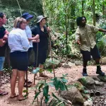 Puglia, nuovo avviso per l’educazione ambientale: fondi ai CEAS per progetti di sostenibilità
